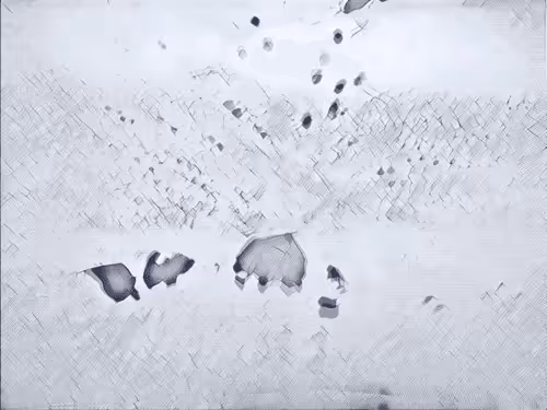 Item #16558374224031309544810590642259060897408029573872384606006677309101615087617 Media