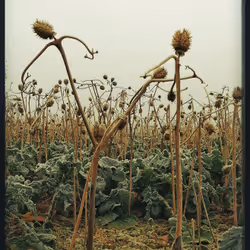 3787080761074609709675817509753112159059746763483256848434353958018640510977