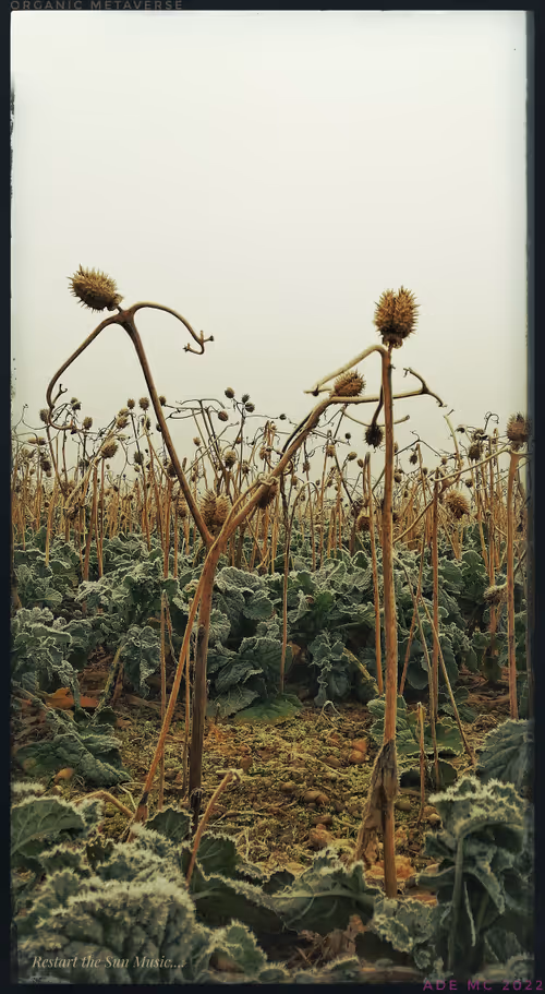 Item #3787080761074609709675817509753112159059746763483256848434353958018640510977 Media