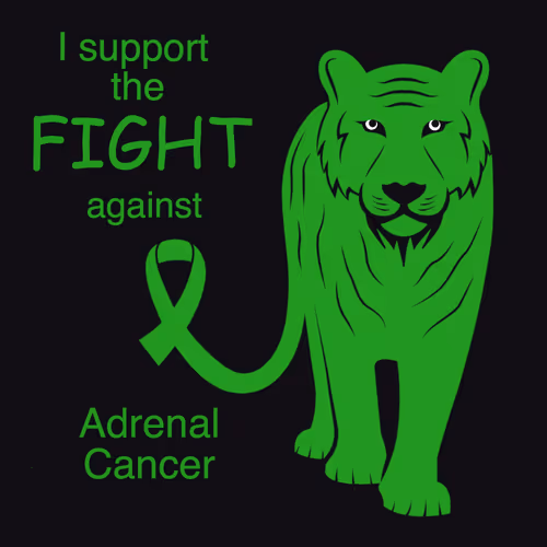 Item #69305815522282948401905192027926974897428998170457785932956285317276181300896 Media