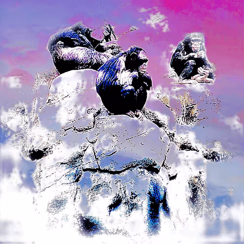 Item #105394010161551018097936078642910549059002323015222353178191528784748620021761 Media