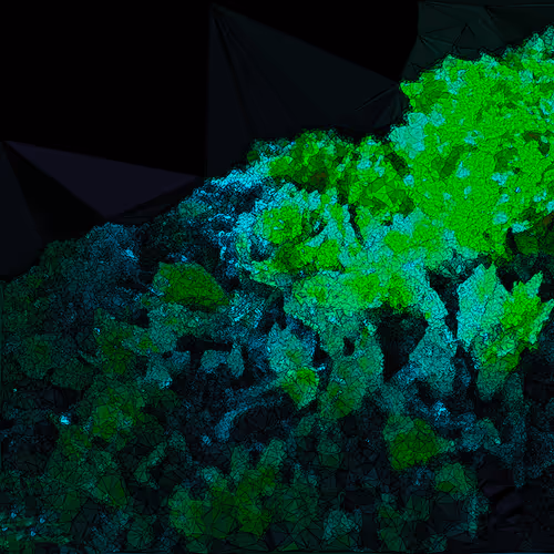 Item #78841231418142414465480757751600348247366621658136762833954179731950976106497 Media