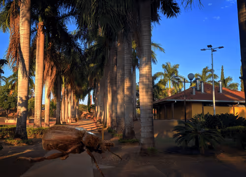 Item #58394047908970311376065937919186859287359681274732256848795643001662083170305 Media