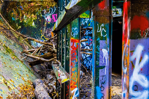 Item #86553233827924247046573392595556901438737658506996576632296572130194649776129 Media