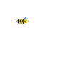 20073338757628415314372831325820655864262989477459987585821795267773112254465