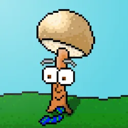 33741781216748986518517832568595493503429706584982134247768926169040443932673