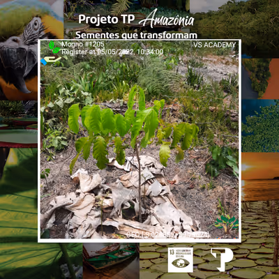 Item #8500196597889277390194123329501889087166328879864934763448349203047825539073 Media