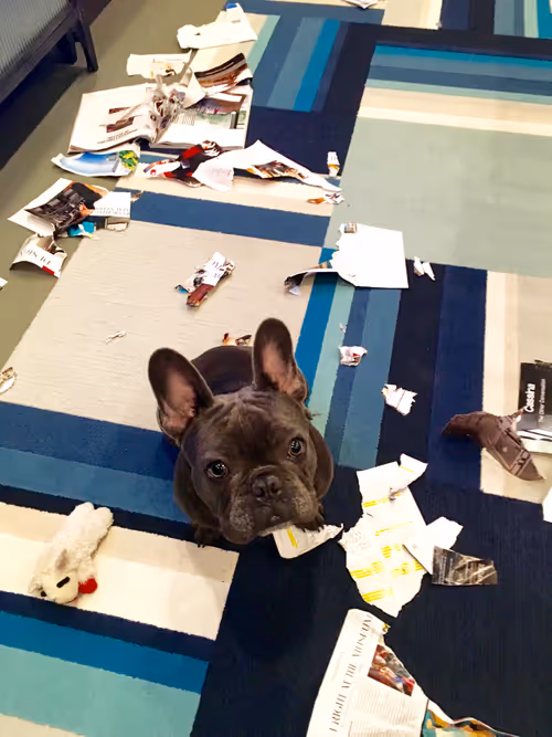 Item #99031261785432219130552668818269695456905868997165113515571762481978952122369 Media