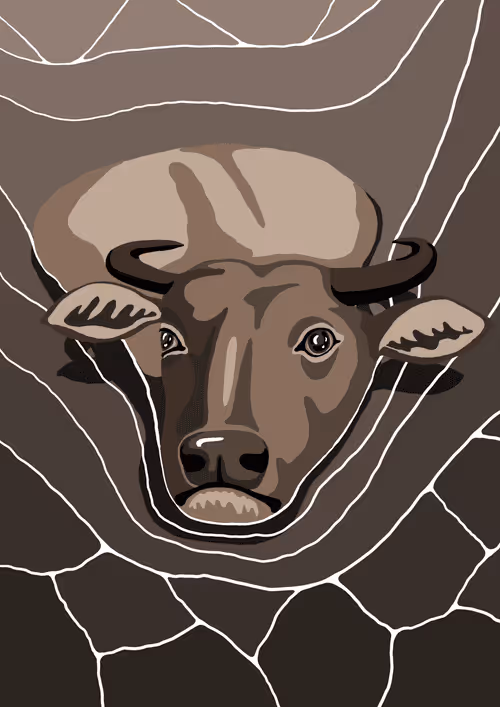 Item #48621905143413042451013074622835028320241365156303425341488150281590688186369 Media