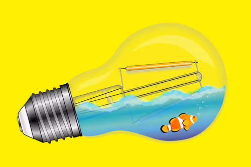 Item #63659285825224040344237409472355156707358424921377574264053770211261929226241 Media