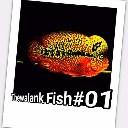 Untitled Collection #192513799