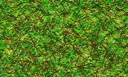 Item #37671797252818830032645010018488858802778721291022166209366081444368953114625 Media