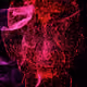 59742513901226175332296917717832373306535518376961243304257121515550590107649