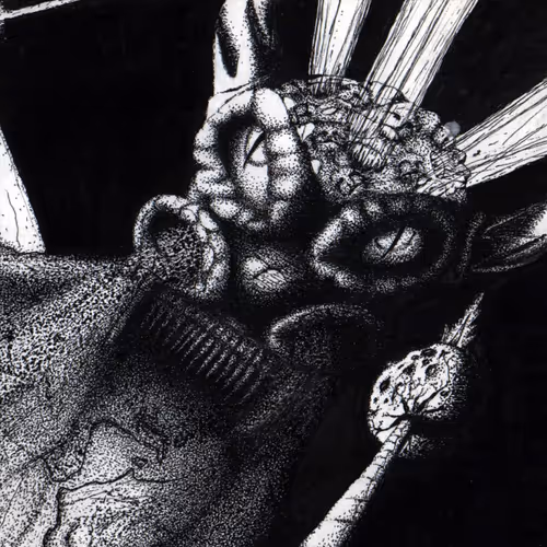 Item #89417832315897886308055089894479557891614060471721780304343815214817404256768 Media