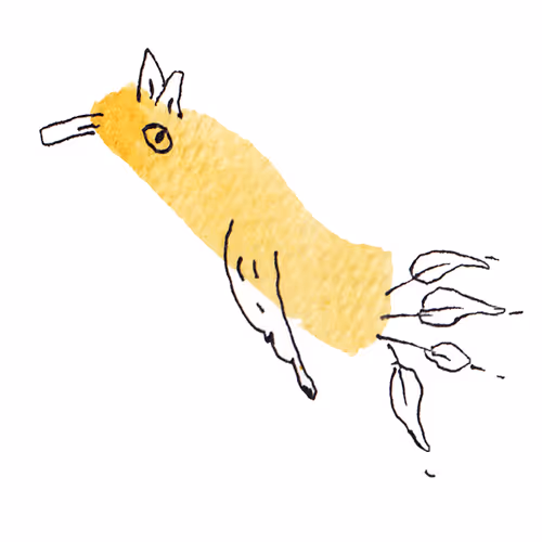 Item #50353834759000892272784324332499926497995203315915058574197458976511417647105 Media