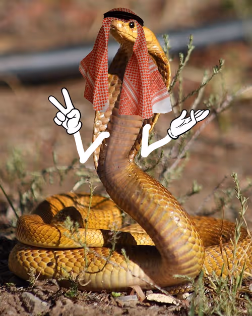 Item #49528553819611158689543245680762430224046431840964854288892804192706964226049 Media