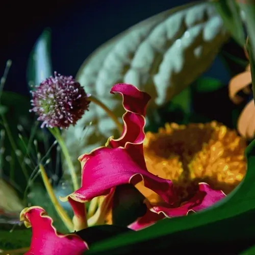 Item #12410577085583635741847651053181208342609125987671627115778380782205996630017 Media