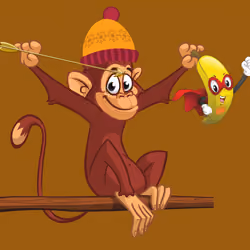 Cool Monky Banane Shela Team