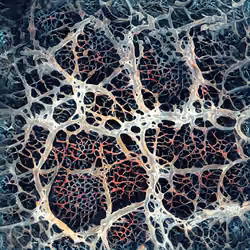 NeuronalArt No.7