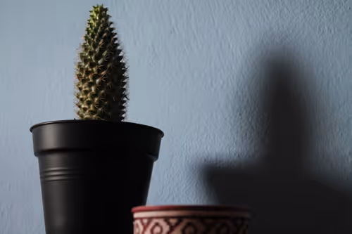 Item #7967281033894542222055828877453032867342209807388350993583448400279799595009 Media