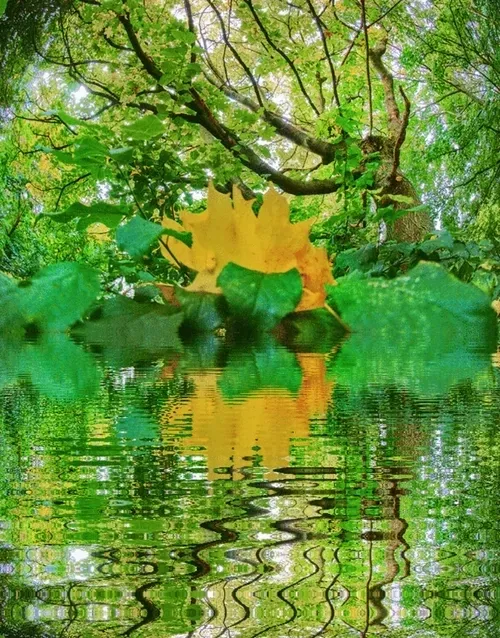 Item #33273431064062745158281459223994481396408298461003960329838769752505160040453 Media