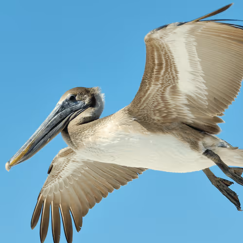 Item #47344123980109973813634142770242239438764360713225161879961012001147157741569 Media