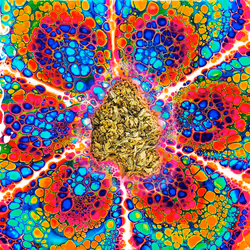 13955282856406335165414100891374623718709547313428947888299034053913346048020