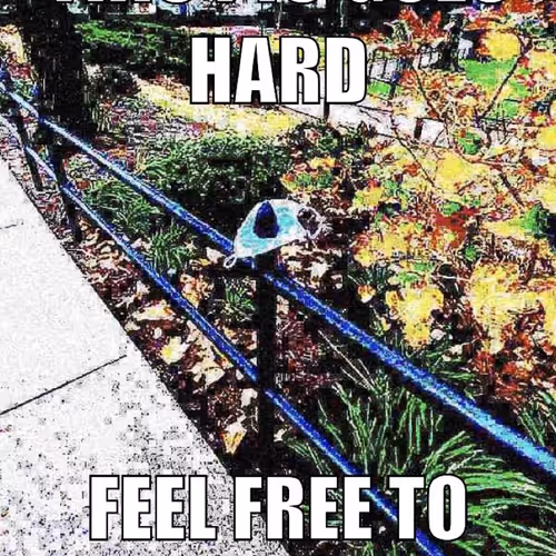 Untitled Collection #192875328