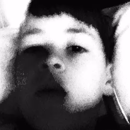 Untitled Collection #282774575