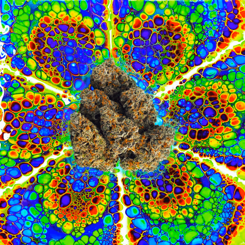 Item #13955282856406335165414100891374623718709547313428947888299034050614811164673 Media