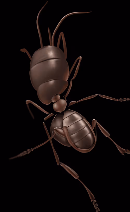 Item #79787343889813582877510155558909016850160649261811296348419943795595692474369 Media