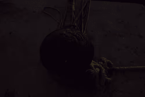 99206175731752603969632246751396839615347692654100145142238794210434130903041