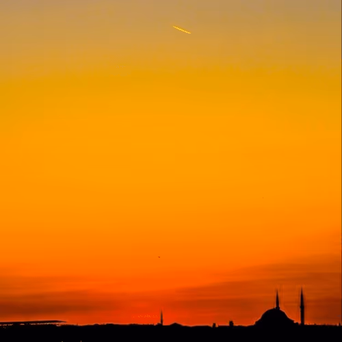 Untitled Collection #63259571