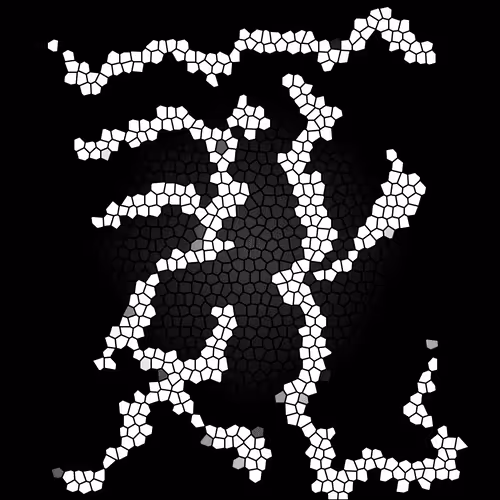 Item #112692583315393289640399895976932165051479569016209638740688331017836631687169 Media