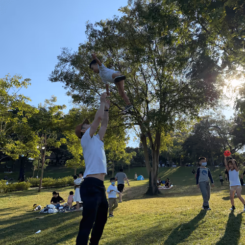 Untitled Collection #180164255