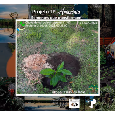 Item #8500196597889277390194123329501889087166328879864934763448349238232197627905 Media