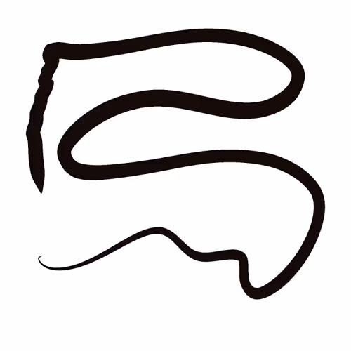 Item #37859031382459254249892826918028985391992798661363063255572736378269203431425 Media