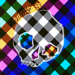 luminous gingham skull spectrum twin no. 1 flip