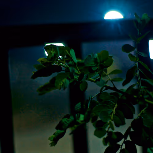 Item #59959295971611788956800367730353639837581261996026347920779025569751861559297 Media