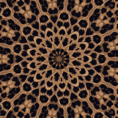 Dream Patterns Video YytvfBbZBo