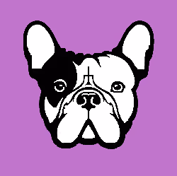 pessimistic dog nft#25