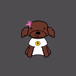 Peachy Poodle #167