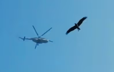 Untitled Collection #177346502