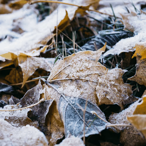 Item #103357970295316058088148646067446465384042318865679672817630305980369415962629 Media