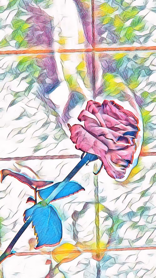 Item #50282047773651704025169196116100677364922446972383898823392781278483245432862 Media