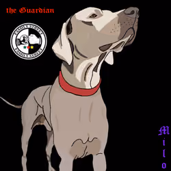 The Guaridan 