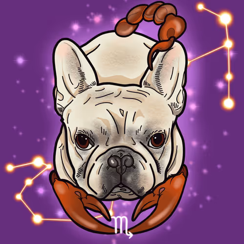 Item #68056669354729290590164091277251327193500280321508296990472693810011966537729 Media