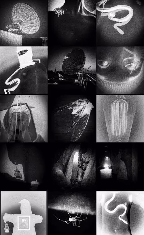 Item #113693328873351964272418761095266344949241101728224431866017542484407313498113 Media