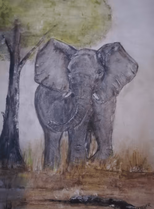 Item #55062131159944038160622016505172486972933508156011635560781713416058147176449 Media