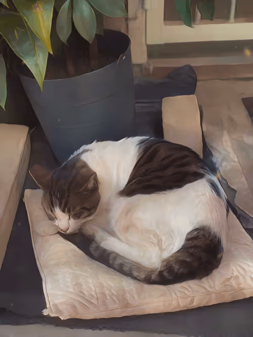 Item #102650025238985064889532626323507420633017859616961165632132730385011780354049 Media